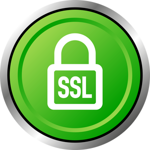 SSL encryption button. Secure icon. Vector illustration.